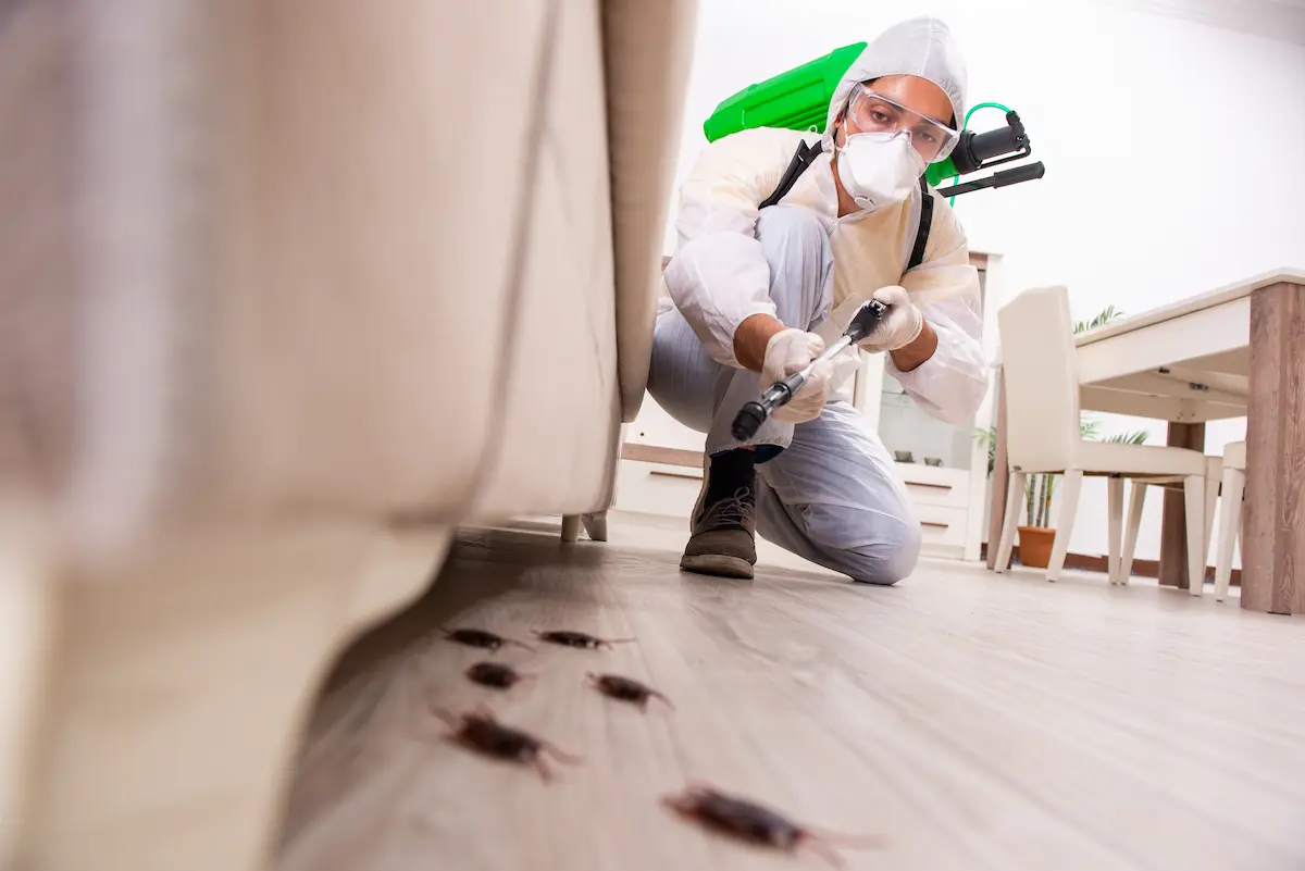 Man spraying pest control solution to address and manage a pest problem.