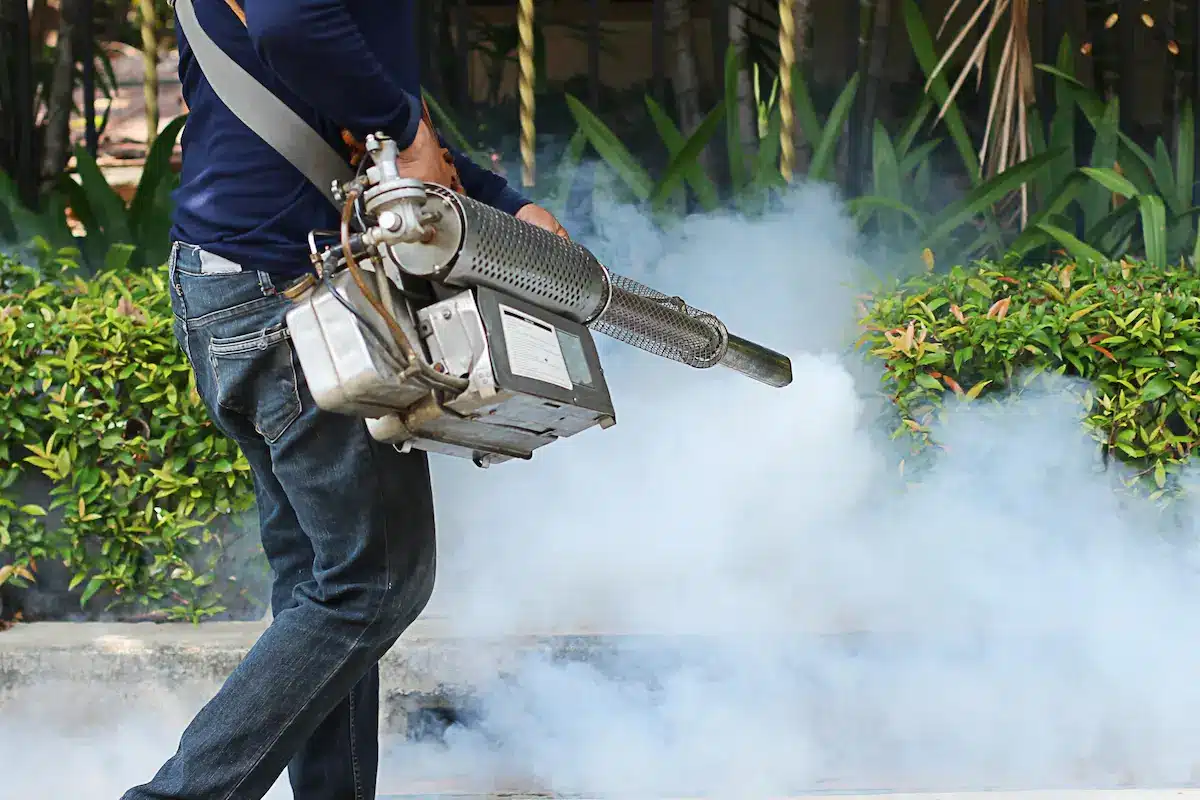 Man spraying pest control solution in the garden to address garden pests.