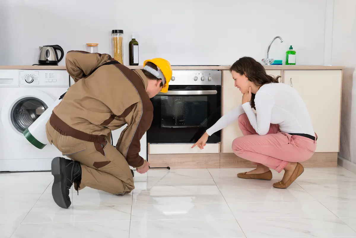 Licensed pest control professionals equipped to handle pest management.